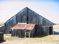 1800’s old pole barn restoration (phase 1)